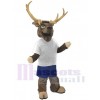 Cerf costume de mascotte