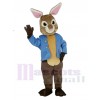 marron et gris Peter Lapin Mascotte Costume