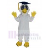 Hibou costume de mascotte