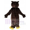 Chouette costume de mascotte