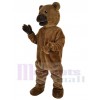 Ours costume de mascotte