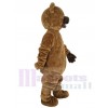 Ours costume de mascotte