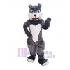Chien costume de mascotte