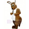 Sombre bronzer Kangourou Mascotte Costume Adulte Costume