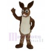 brun Peter Lapin Mascotte Costume Dessin animé