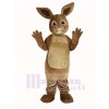 Peter lapin Mascotte Costume