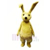 Jeune lapin avec Longue Oreilles Mascotte Déguisements Dessin animé