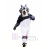 Football Loup Mascotte Déguisements Dessin animé