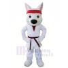 Sport Weiß Wolf Maskottchen Kostüme Karikatur