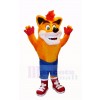 crash Bandicoot Loup Mascotte Costume Dessin animé