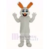 Pâques lapin Mascotte Costume Adulte