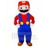 Marrant Personnage Mario Mascotte Costume Dessin animé
