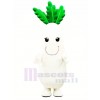 blanc Un radis Légume Mascotte Costume Dessin animé