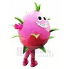 Dragon Fruit Pitaya Mascotte Costume Dessin animé