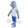 Dauphin costume de mascotte