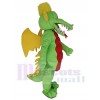 Dragon costume de mascotte