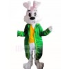 Pâques lapin dans vert Mascotte Costume Dessin animé