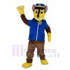 Paw Patrol Chase avec Bleu Sac à dos Mascotte Costume