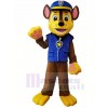 Patte Patrouille Paw Patrol Chase Mascotte Costume Dessin animé