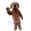 Chien costume de mascotte