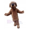 Chien costume de mascotte