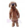 Chien costume de mascotte