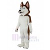 Chien costume de mascotte