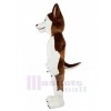Chien costume de mascotte