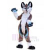 Chien costume de mascotte