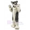 Chien costume de mascotte