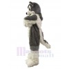 Chien costume de mascotte