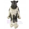 Chien costume de mascotte
