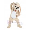 Chien costume de mascotte