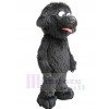 Chien costume de mascotte