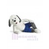 Chien costume de mascotte