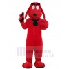 Chien costume de mascotte