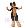 Chien Husky costume de mascotte