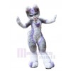 Chien costume de mascotte