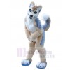 Chien costume de mascotte
