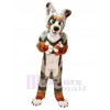 Chien costume de mascotte