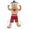 Chien costume de mascotte