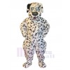 Chien costume de mascotte