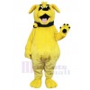 Chien costume de mascotte