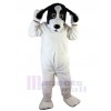 Chien costume de mascotte