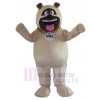 Chien costume de mascotte