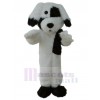 Chien costume de mascotte
