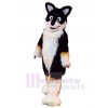 Chien costume de mascotte