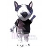 Chien costume de mascotte