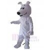 Hund maskottchen kostüm