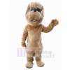 Chien costume de mascotte